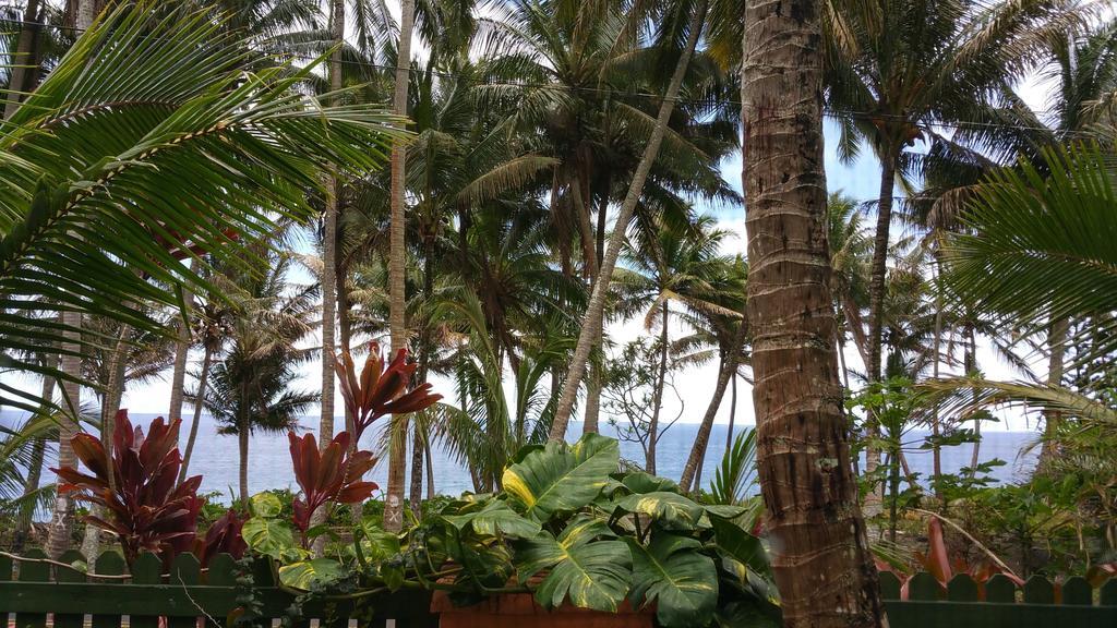 Nice Studio W/ Ac Near Kehena Beach And Lava Fields Room photo